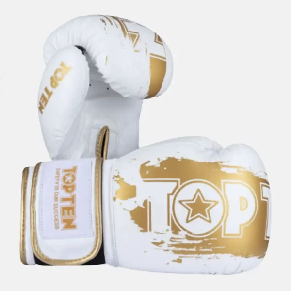 Top Ten boxing gloves Power Ink Golden Star pair view