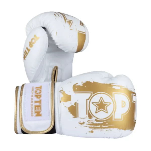 Top Ten boxing gloves Power Ink Golden Star pair view PP