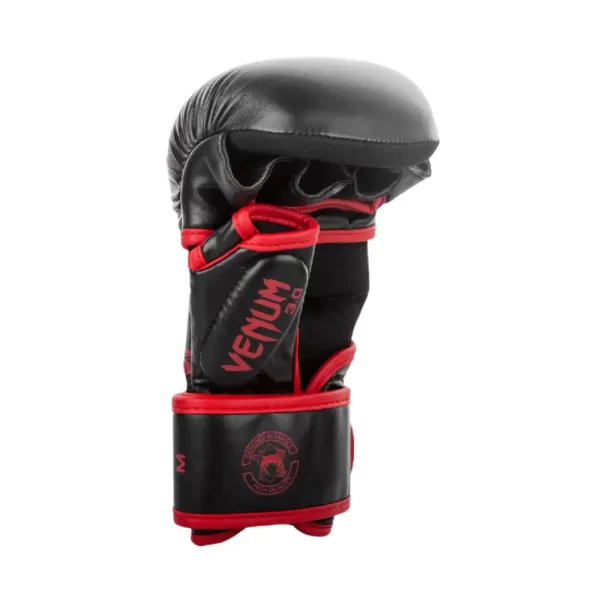 Venum Challenger 3.0 Sparring Gloves FL PP