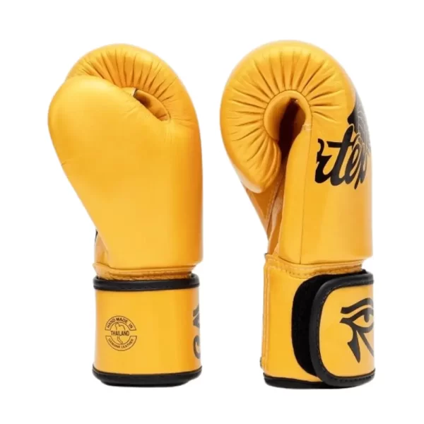 Fairtex Muay Thai Gloves BGV1 Falcon P