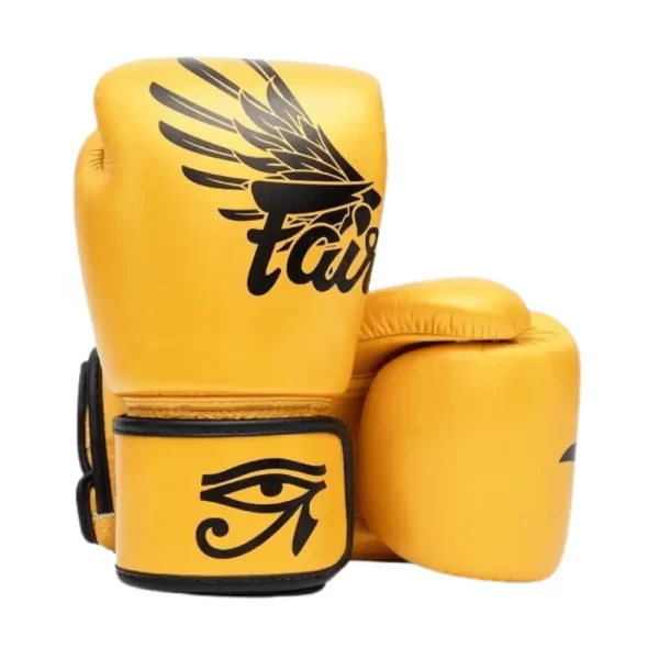 Fairtex Muay Thai Gloves BGV1 Falcon PP